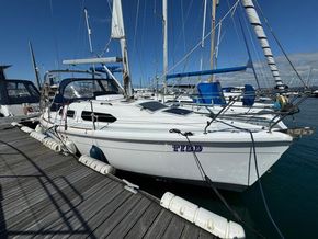 2001 hunter legend 290 sail 9479674 20240724004458775 1 XLARGE