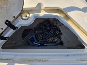 Sea Ray 245 Sundancer  - Anchor Locker