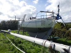 1980 Lord Helmsman 31