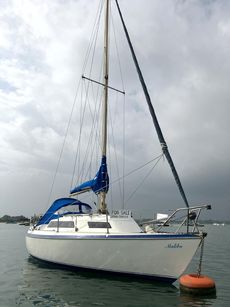 1979 Tomahawk 25 with optional road trailer