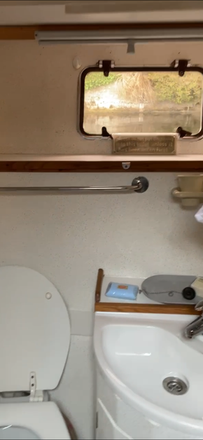 Guest bathroom and shower