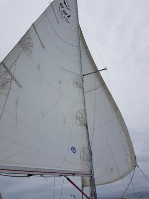 Goosewinging