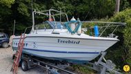 1993 Bayliner Trophy Walkaround 2102