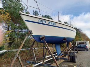Port Bow