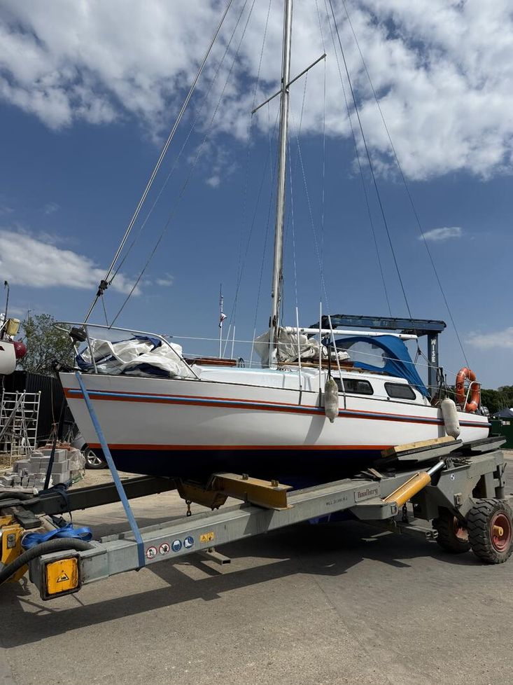 Kestrel 24