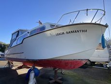 FREEMAN 26 - 1973