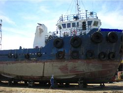 2006 1000 HP Tug/28 ton BP