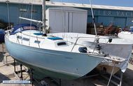 Nicholson 35