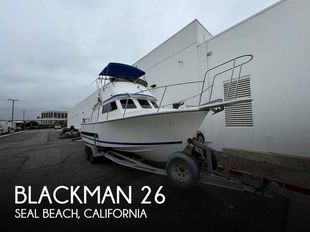 2003 Blackman 26 Billfisher