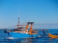FREEZER PRAWN TRAWLER COMMERCIAL FISHING