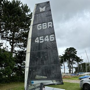 International Moth 2018 Rocket SSD 4546