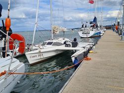 Dragonfly 800 SWING Wing