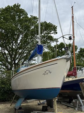 Out of the Water in April 26 for antifouling and polishing