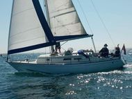 Veruscka - Carter 30 - MCA Cat 2 coded