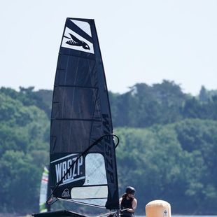 Waszp 3150