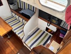 Classic Van de Stadt Harmony 31