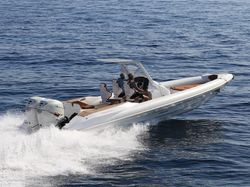 Tropida Genesis 31