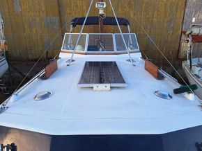 Nelson 40 Pilot 