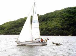 Excellent Pegasus 800 FOR SALE