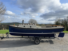 Norfolk Gypsy - Murmullo