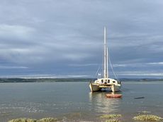 Wharram catamaran 