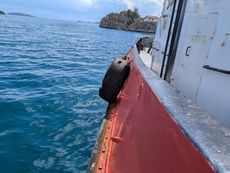 1980 Tug - Single Screw For Sale