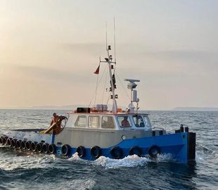 14M SINGLE SCREW TUG / WORKBOAT
