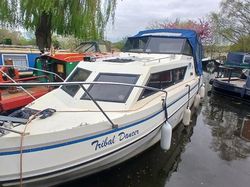 Viking 22