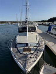 1974 Levi Triana Tantarella 35