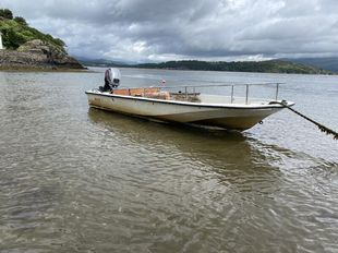 Boston Whaler 15 Super Sport