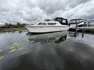 Viking 26 Golden Crown