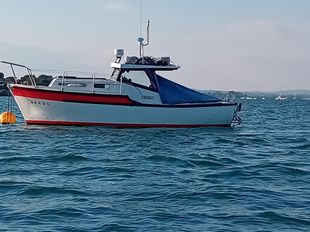 Tamar 2000 Enterprise