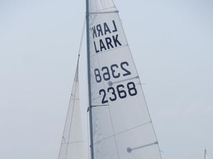 Lark 2368