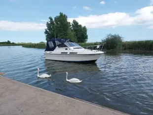 1989 Fairline 24 Carrera