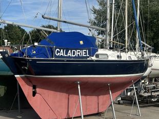 Contessa 26. Galadriel of Lothlorian.