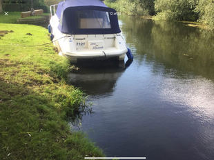 Hardy Seawings 254