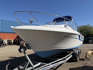 Proline 21 Anniversary Addition 1997