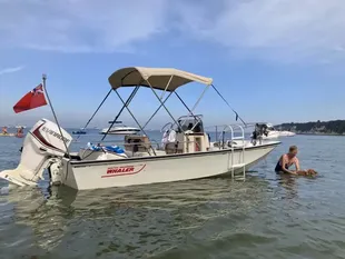 1989 Boston Whaler Montauk 17