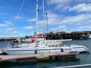 1990 Helmsman Carrera 38