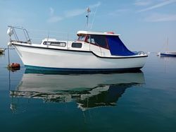 Tamar 2000 Enterprise