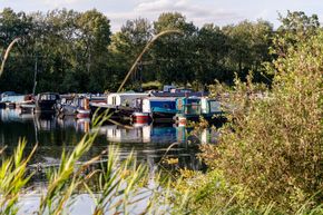 Boats for Sale at Roydon Marina