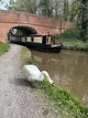 58ft Semi-Trad Stern Narrowboat