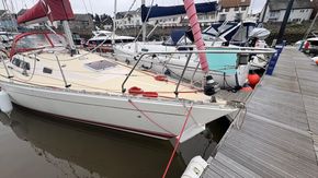 IMG 4525