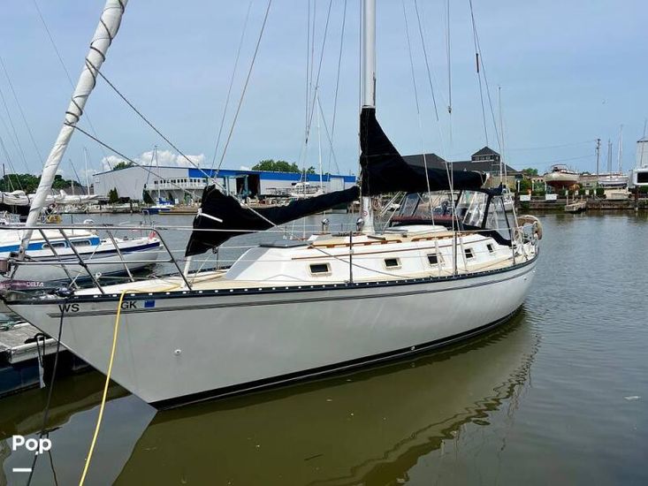 1979 Hunter 37 cherubini