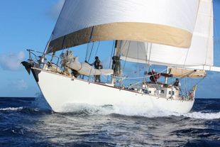 Robert Clark 72' 'Zenara'