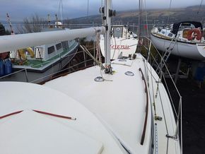 Mascot 28 