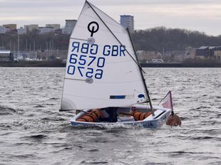 Optimist 6570 ven wettum