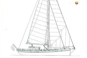 Picture 38