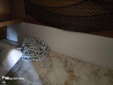 2001 Catalina 320 Wing