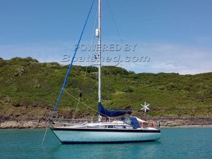 1979 Dolphin 31